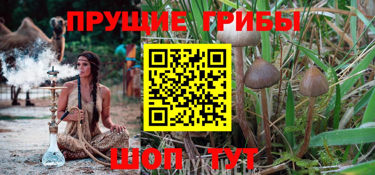 Галлюциногенные грибы прущие грибы Муравленко