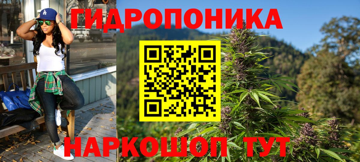 Муравленко  Канабис планчик  Каннабис сатива  Канабис AK-47  Вход с VPN 